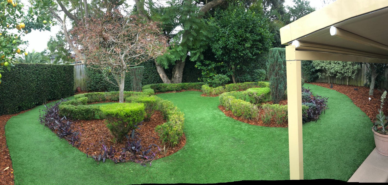 Synthetic Turf Lane Cove ggarden