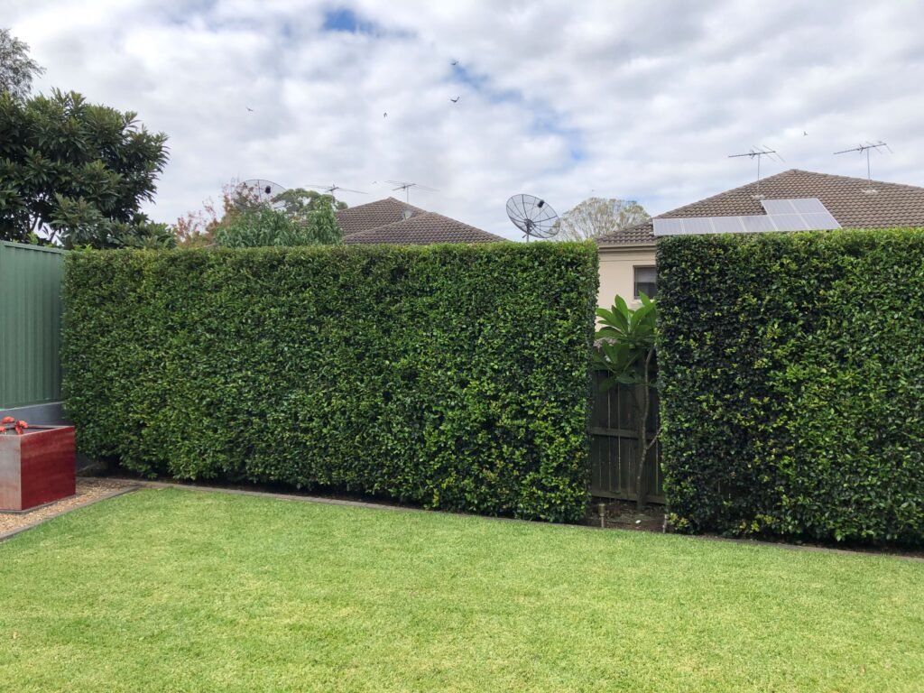 Ggardening Services