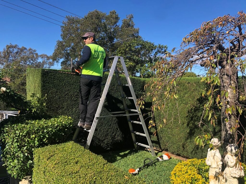 Hede Trimmig Services