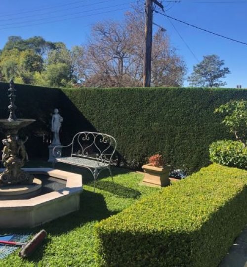 Gardening Make Over
